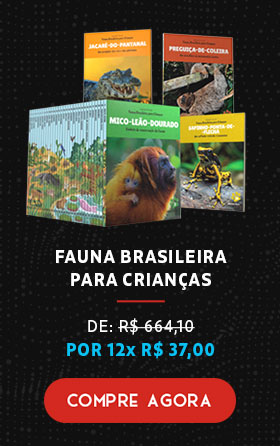 Fauna Brasileira para Crianças | De R$ 664,10 por 12x R$ 37,00 | Compre Agora