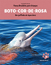 BOTO-COR-DE-ROSA