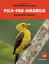 PICA-PAU-AMARELO