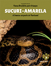 SUCURI-AMARELA