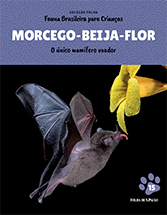 MORCEGO-BEIJA-FLOR