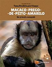 MACACO-PREGO-DO-PEITO-AMARELO