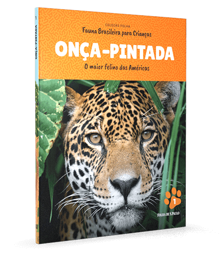 Onça-pintada