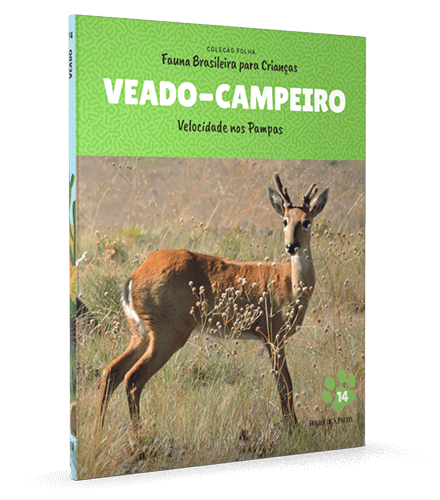 Veado-campeiro 