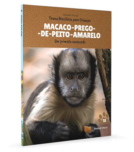 Macaco-prego-do-peito-amarelo 