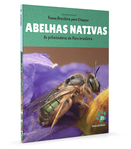 Abelhas nativas