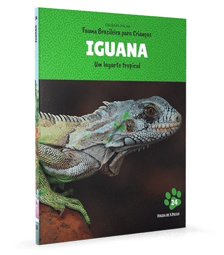 Iguana 