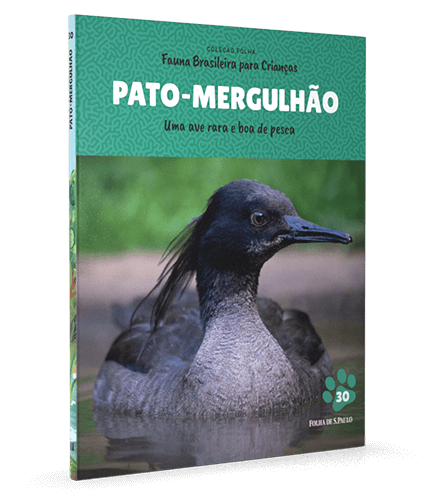 Pato-mergulhão 