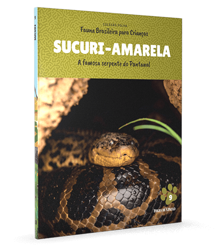 Sucuri-amarela