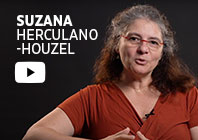 Suzana Herculano-Houzel