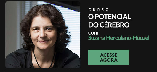 Curso O Potencial do Cérebro, com Suzana Herculano-Houzel. Acesse Agora