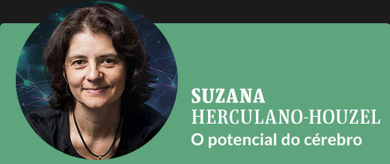 Suzana Herculano-Houzel