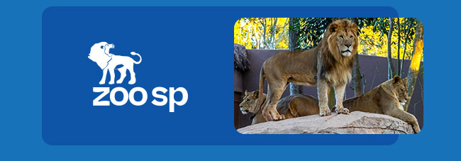 Zoo SP