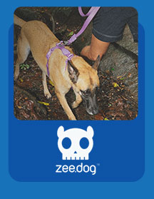 Zee Dog
