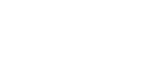 Netshoes